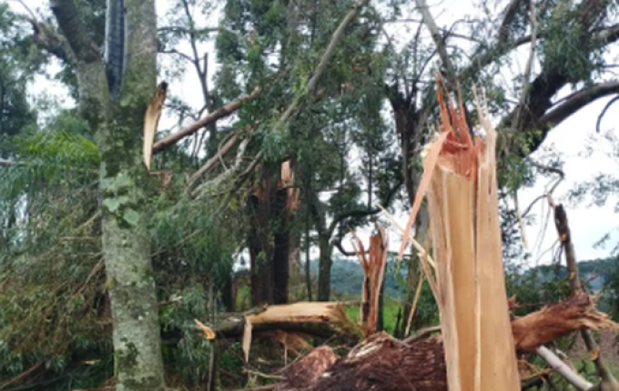 Chapecó é atingida por vendaval neste sábado; meteorologista identifica tornado