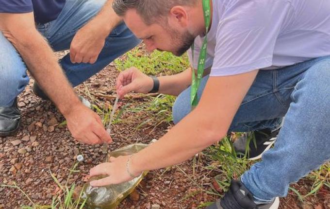 Setor de Endemias e Exército realizam ação de combate a dengue na comunidade da Pedreira, em SMO