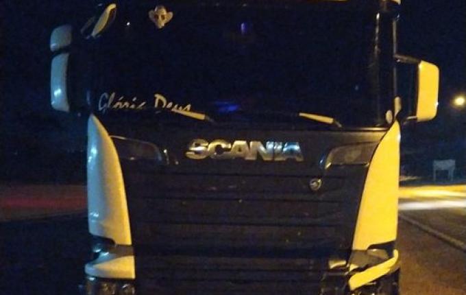 Vaca invade rodovia, é atropelada por caminhão em Descanso