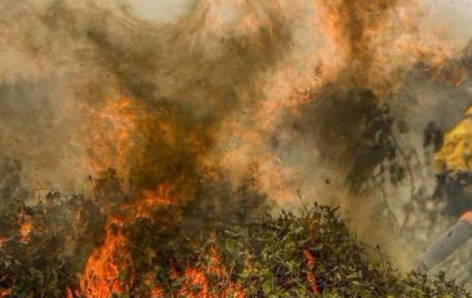 Brasil teve ao menos 1,9 mil focos de incêndio por dia em agosto