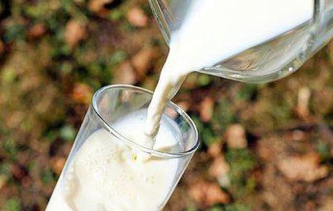 Embrapa prevê queda no preço pago por litro de leite