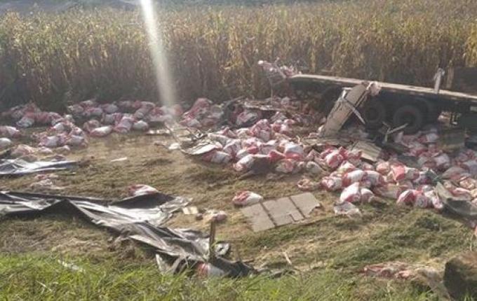 Caminhoneiro sofre ferimentos leves em tombamento na SC-161