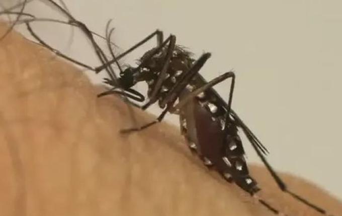 Guarujá do Sul confirma primeira morte por dengue