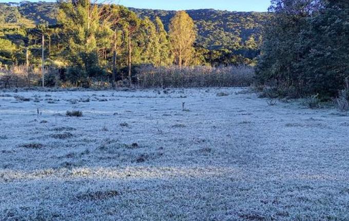 Serra catarinense amanhece com paisagens “congeladas” e temperatura negativa