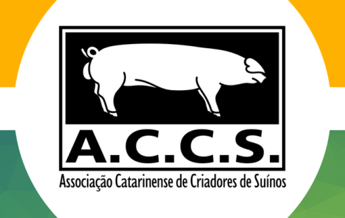 ACCS aponta cenário positivo no mercado da suinocultura