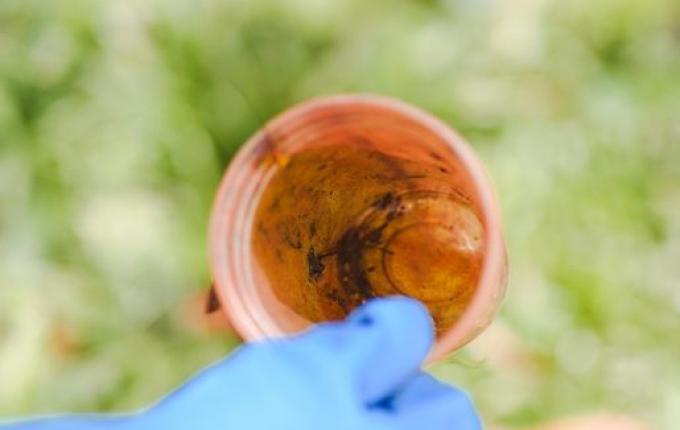 São Lourenço do Oeste tem cinco pessoas hospitalizadas por dengue