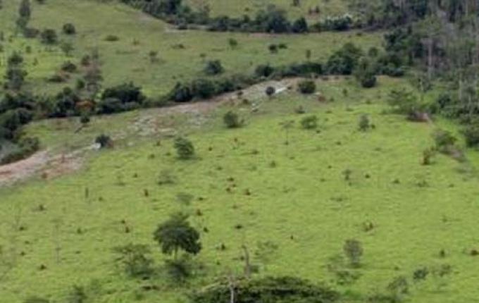 Prazo para declaração do ITR inicia em agosto para agricultores