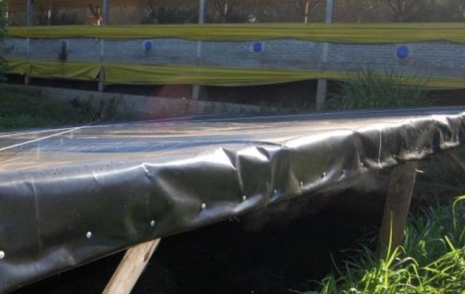 Homem morre após cair em esterqueira no interior de Descanso