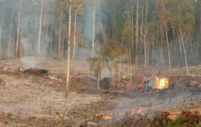 Incêndio atinge vegetação e estoque de lenha no interior de Itapiranga