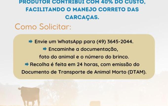 Guaraciaba inicia parceria para recolhimento de bovinos e equinos mortos