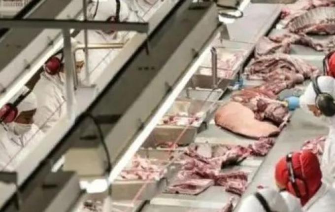 Com exportação para o Canadá, setor de carne suína de SC espera minimizar crise