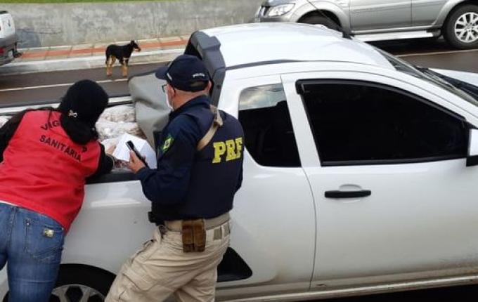 PRF apreende 600 kg de carne transportada sem refrigeração e sem condições de consumo