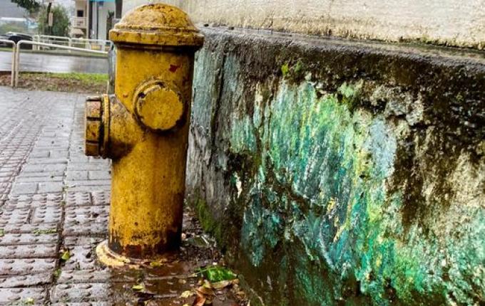 Morador de São Miguel do Oeste denuncia falta de água em hidrantes