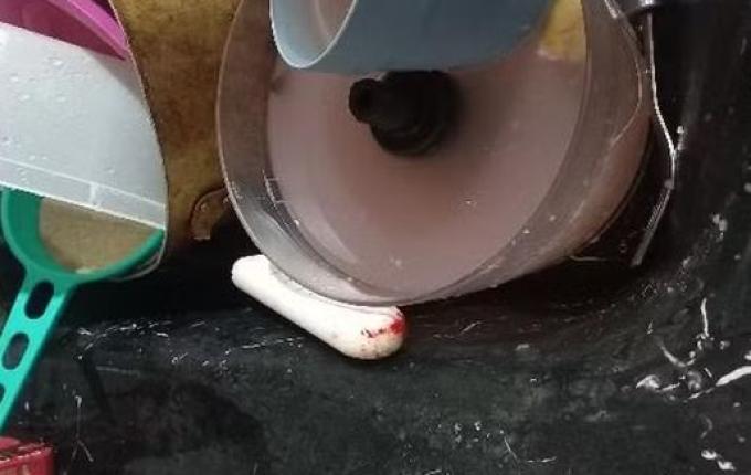 Criança de 1 ano é esfaqueada durante briga entre irmãs, e tia é presa em SC