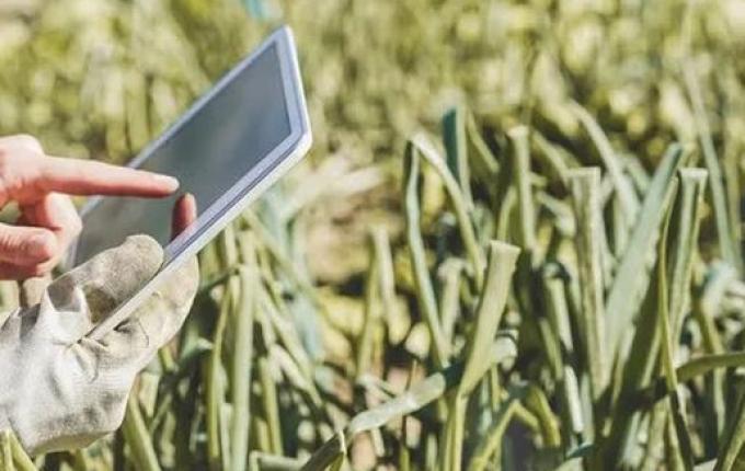 Emissão de Nota Fiscal Eletrônica será obrigatória para produtores rurais