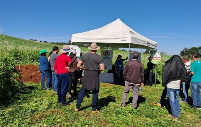 Dia de campo reúne cerca de 30 agricultores em Bandeirante