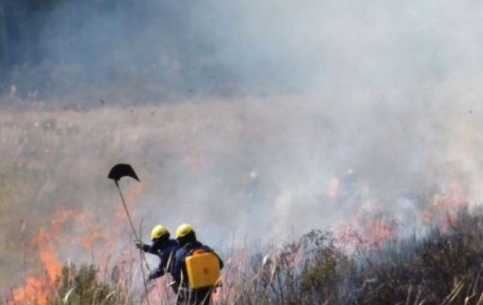 SC registra 1,3 mil focos de incêndio em 2024 e supera total do ano passado