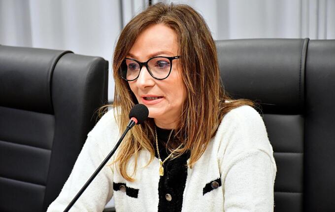Vereadora solicita estudo para revitalização e melhorias na Avenida Salgado Filho