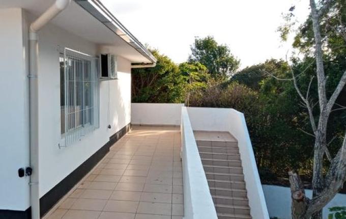 Delegacia de São José do Cedro recebe reforma e modernização