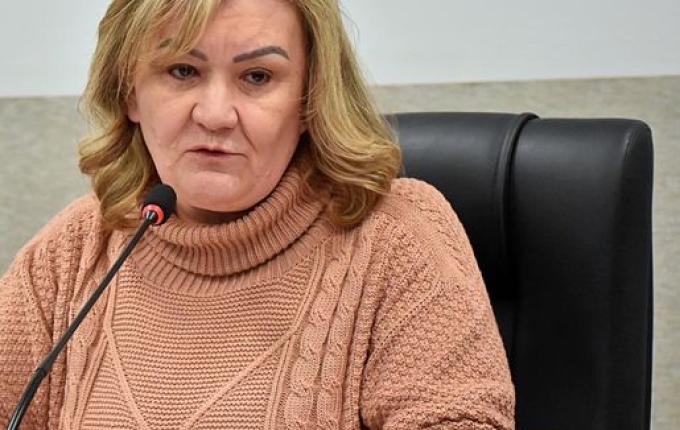 Vereadora propõe distribuição de bandeiras para escolas e entidades de SMO