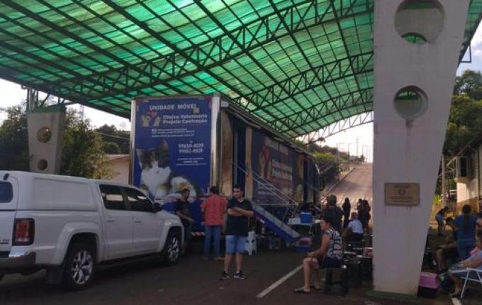 Mutirão de castração atende quase 100 animais em Descanso