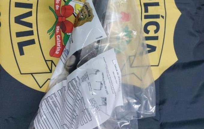 Homem é preso em flagrante com arma de fogo em Campo Erê