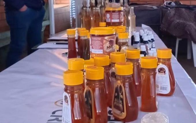 Saltinho sedia Seminário Estadual de Apicultura e Meliponicultura