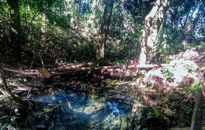 Alunos do CEMEG realizam visita de estudos à nascente do Rio Cedro