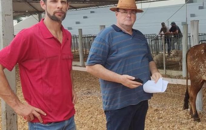 Primeiros animais da Expo Guarujá já desembarcaram nos espaços