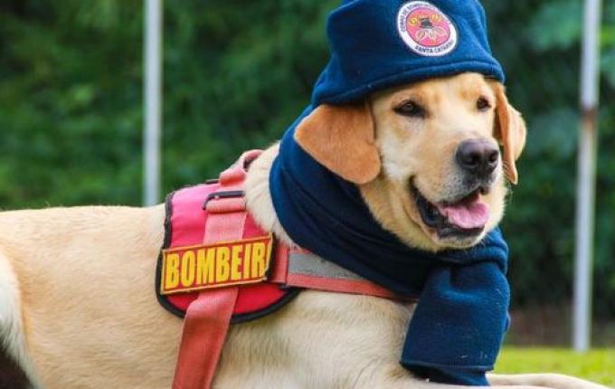 Campanha do Agasalho dos Bombeiros de Iporã do Oeste termina nesta quarta