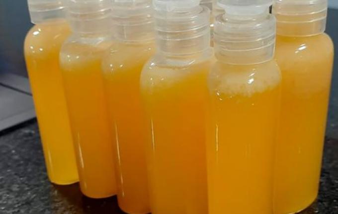 Produção de repelente natural é trabalho em escola de Guaraciaba