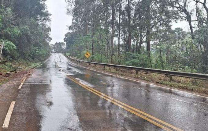 Caminhão sai da pista e colide em árvore na SC-157