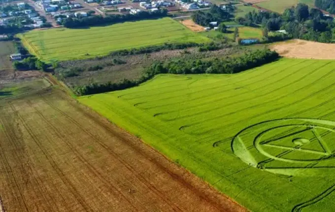 Agroglifo que apareceu em Santa Catarina vai ser desfeito em 10 dias