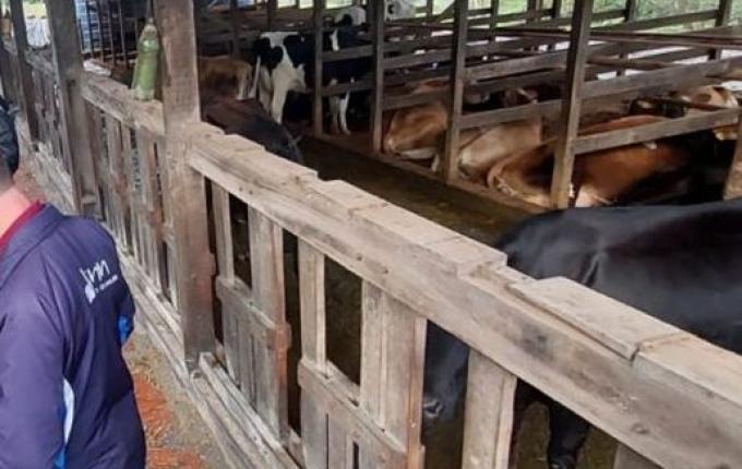 Tunápolis realiza reunião técnica sobre saúde animal e formulação de dieta leiteira