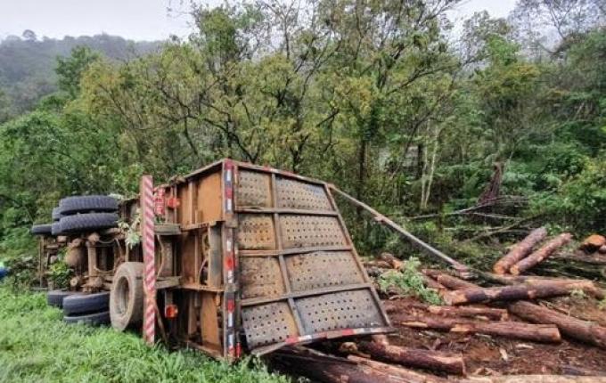 Mulher morre após caminhão carregado de madeira tombar