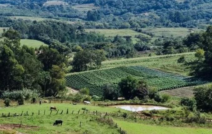 Lar Legal Rural completa um ano com mil processos de regularização no Oeste