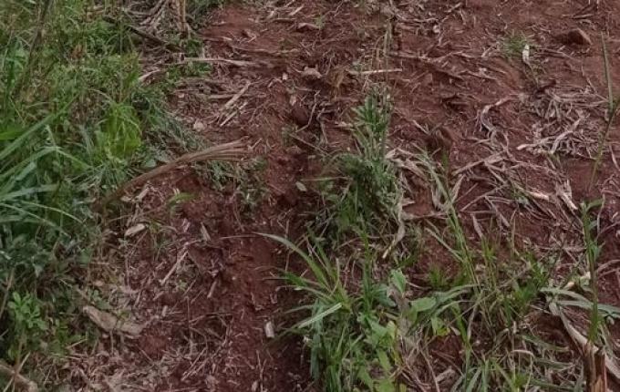 Trabalhador morre em acidente com trator