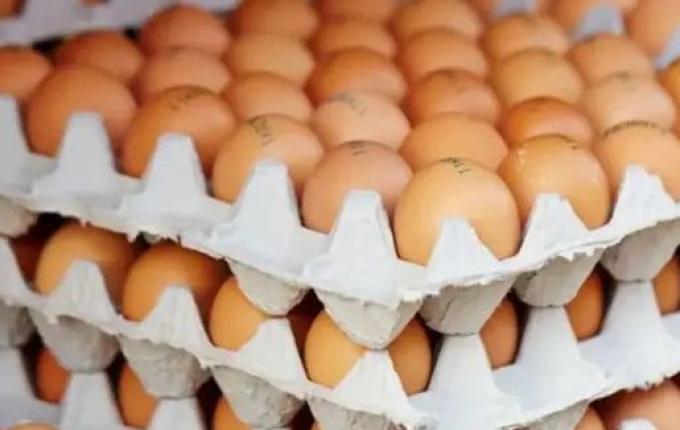 Preço do ovo cai 38% em SC influenciado pelo tarifaço