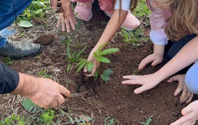 Secretaria trabalha ações da Semana do Meio Ambiente em Guaraciaba