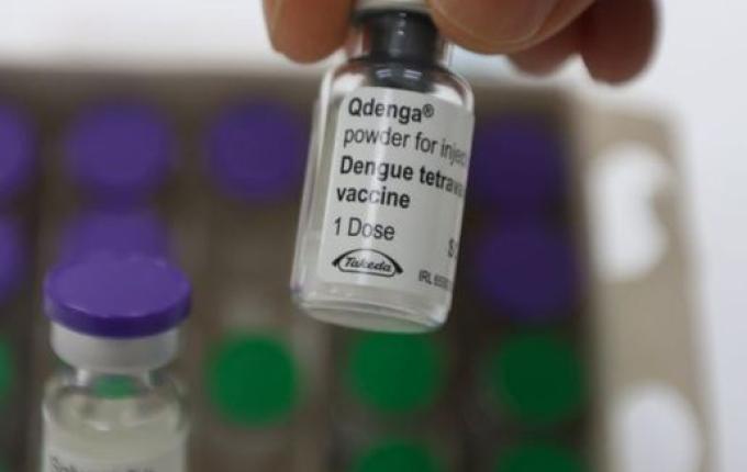 Com 231 mortes, cobertura vacinal da dengue não avança em Santa Catarina