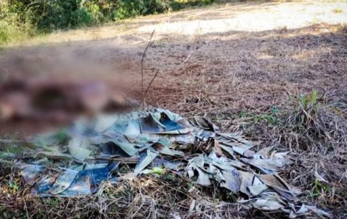 Vaca prenha é abatida e carne furtada em propriedade no interior de Bandeirante