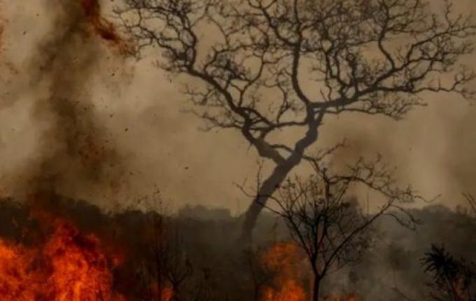 Desastres climáticos aumentaram 250% nos últimos quatro anos no país