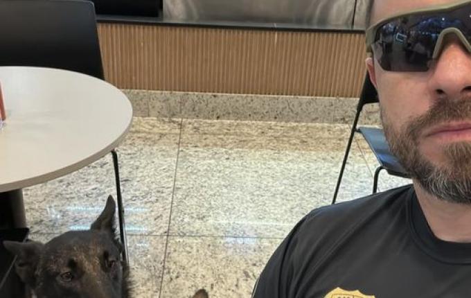 Novo cão de faro é escolhido para reforçar o combate ao tráfico em SMO