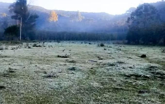 SC amanhece com termômetros marcando -1,8ºC, geada e bate novo recorde