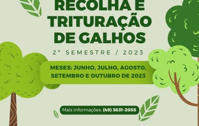 Urbanismo realiza o cronograma do 2º semestre para recolha de galhos em 2023