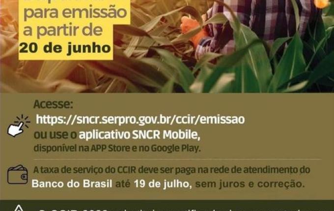 Secretaria de Agricultura de Saltinho faz consulta e emissão do CCIR