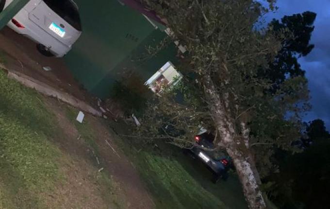 Bombeiros removem árvore que caiu sobre casa em São Miguel do Oeste