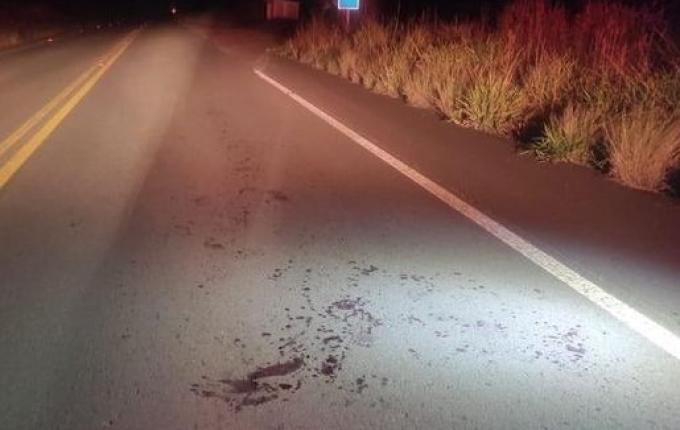 Homem fica gravemente ferido em atropelamento na SC-480