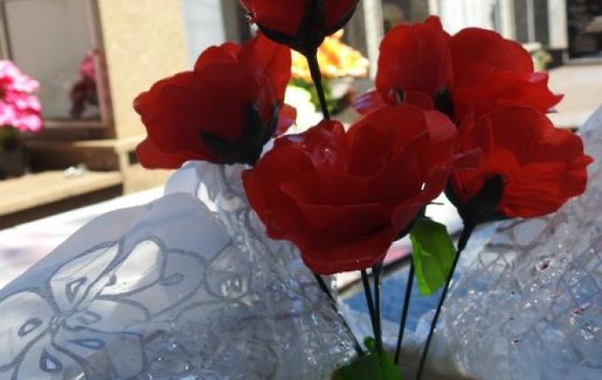 SMOeste volta a registrar focos do mosquito da dengue