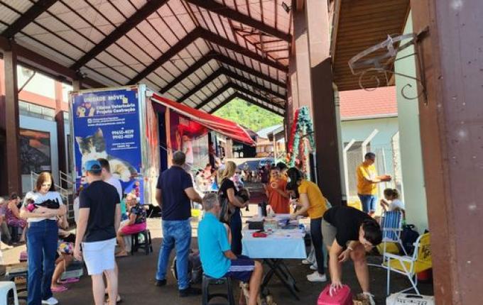 ONG Patinhas do Bem realiza mutirão de castração de animais em Itapiranga